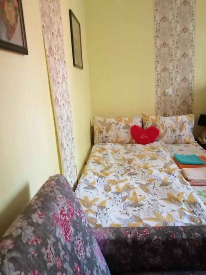 Apartament Cu Doua Camere Si Gradina Cluj-Napoca Buitenkant foto