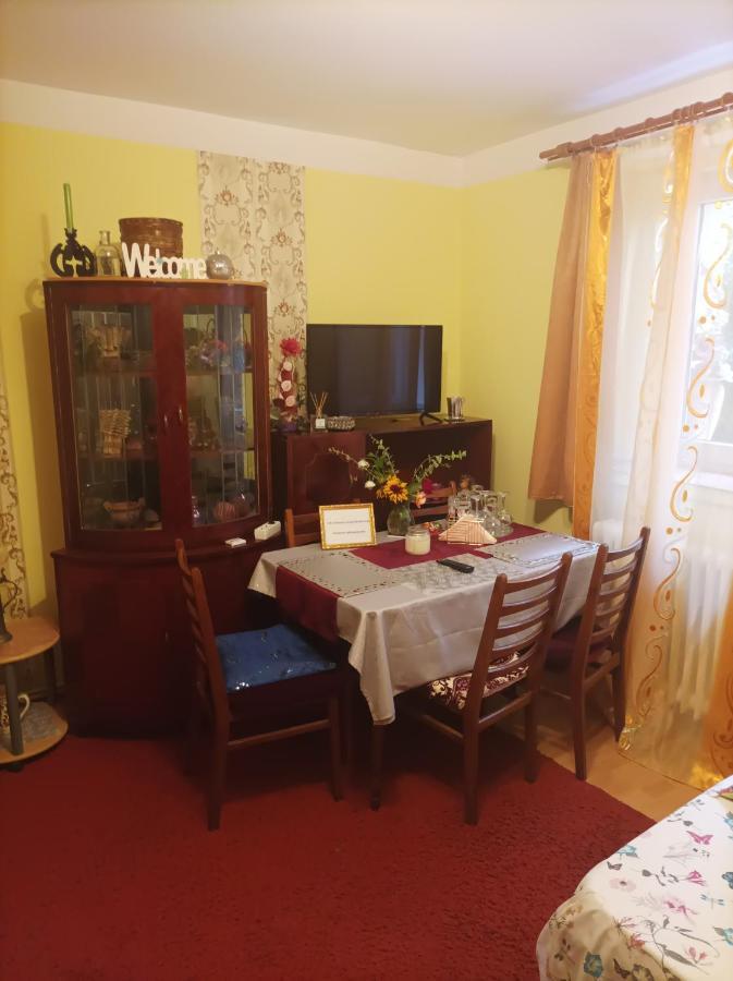 Apartament Cu Doua Camere Si Gradina Cluj-Napoca Buitenkant foto