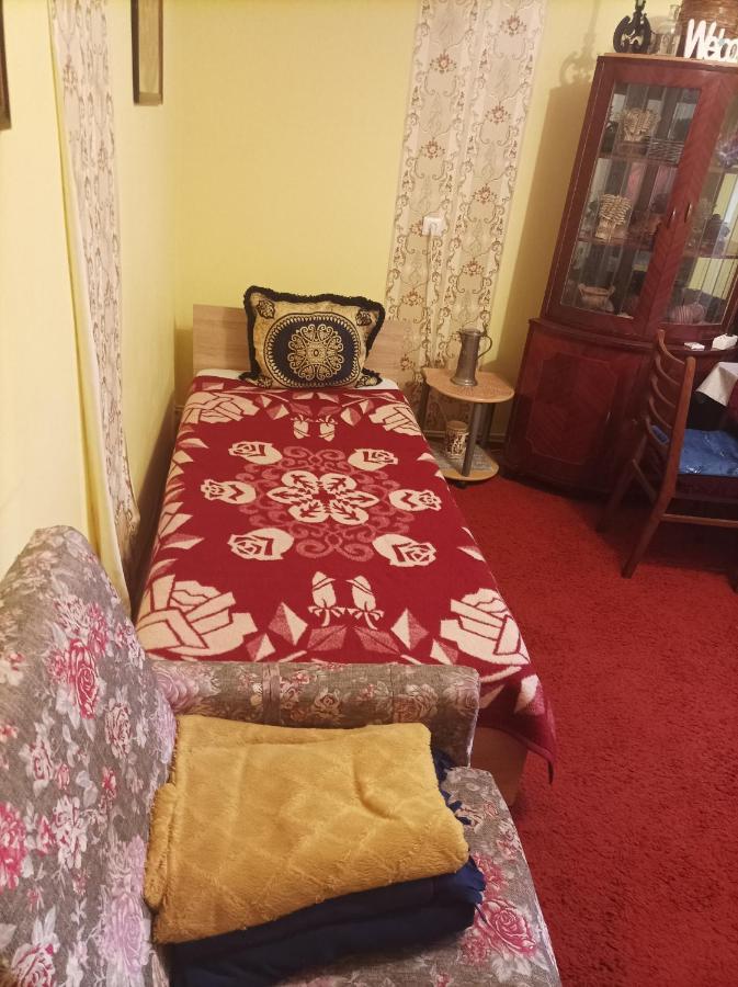 Apartament Cu Doua Camere Si Gradina Cluj-Napoca Buitenkant foto